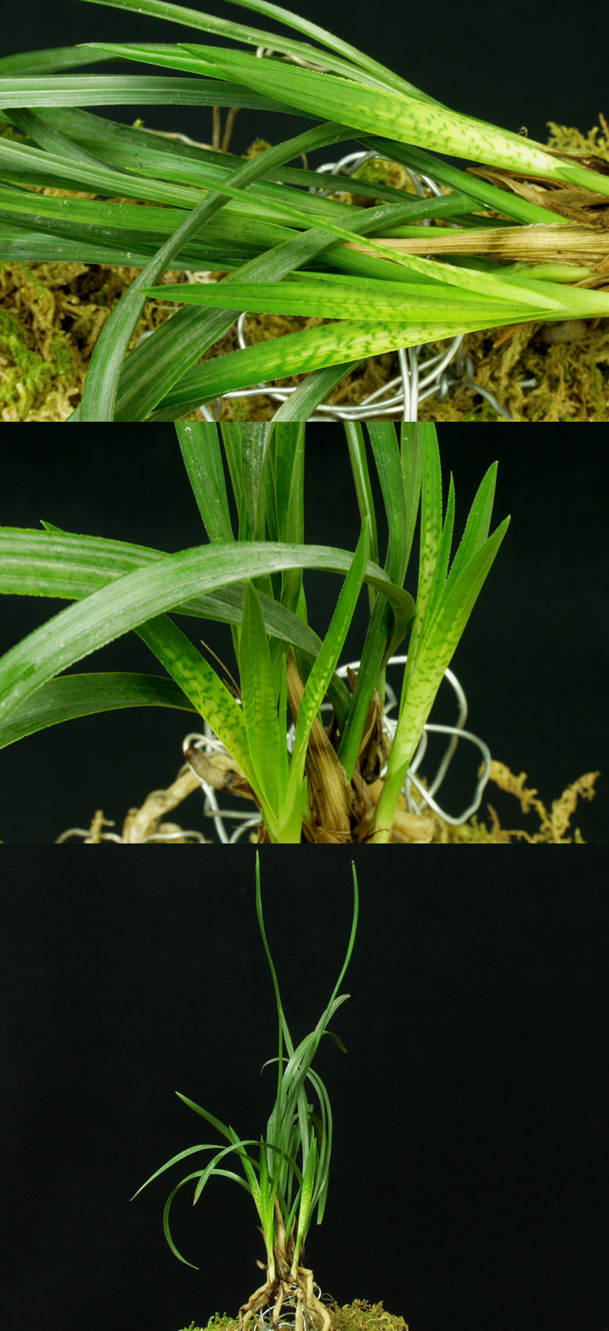 ������ ū������ �� �� �ֽ��ϴ�.