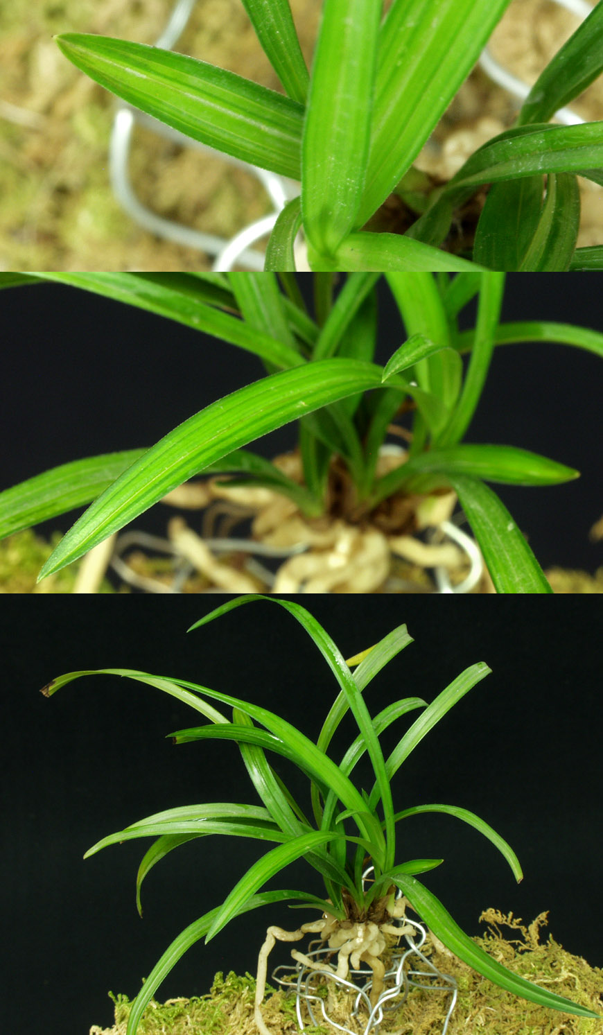 ������ ū������ �� �� �ֽ��ϴ�.