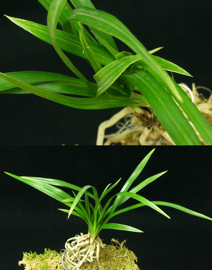 ������ ū������ �� �� �ֽ��ϴ�.