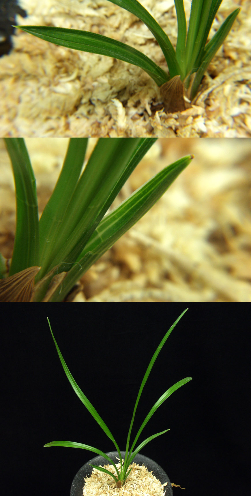 ������ ū������ �� �� �ֽ��ϴ�.