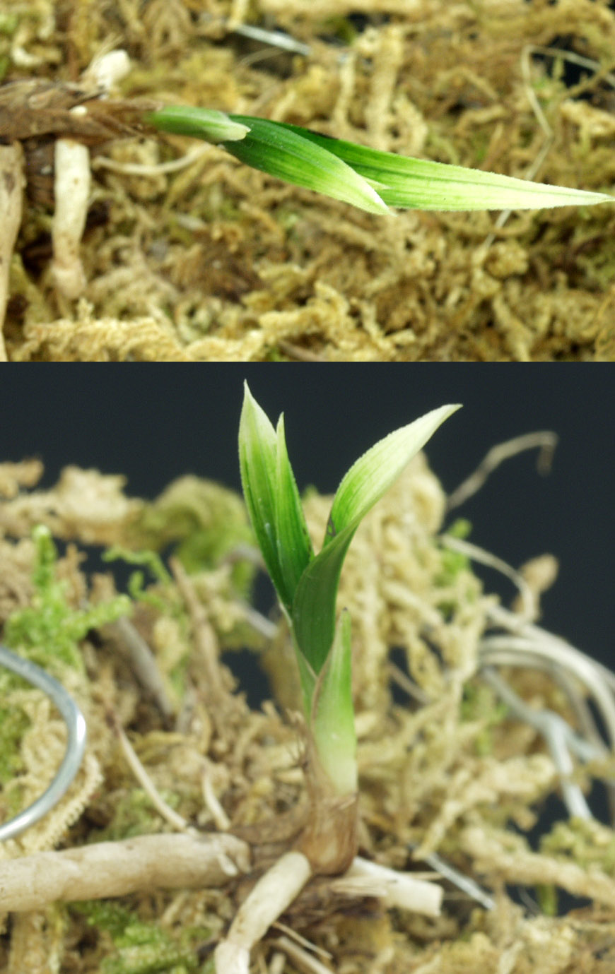 ������ ū������ �� �� �ֽ��ϴ�.