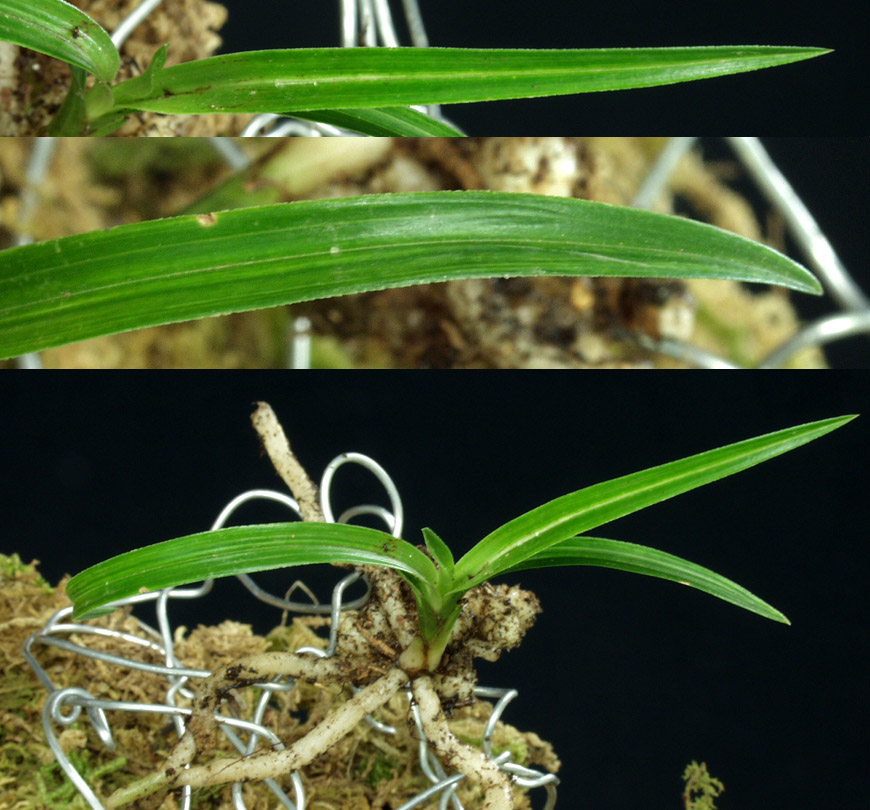 ������ ū������ �� �� �ֽ��ϴ�.