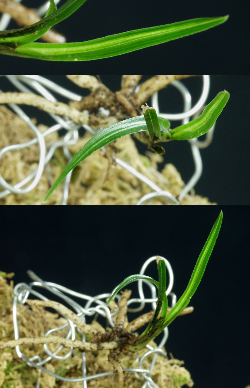 ������ ū������ �� �� �ֽ��ϴ�.