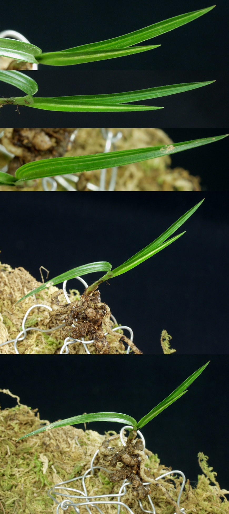 ������ ū������ �� �� �ֽ��ϴ�.