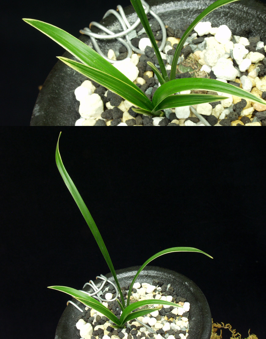 ������ ū������ �� �� �ֽ��ϴ�.