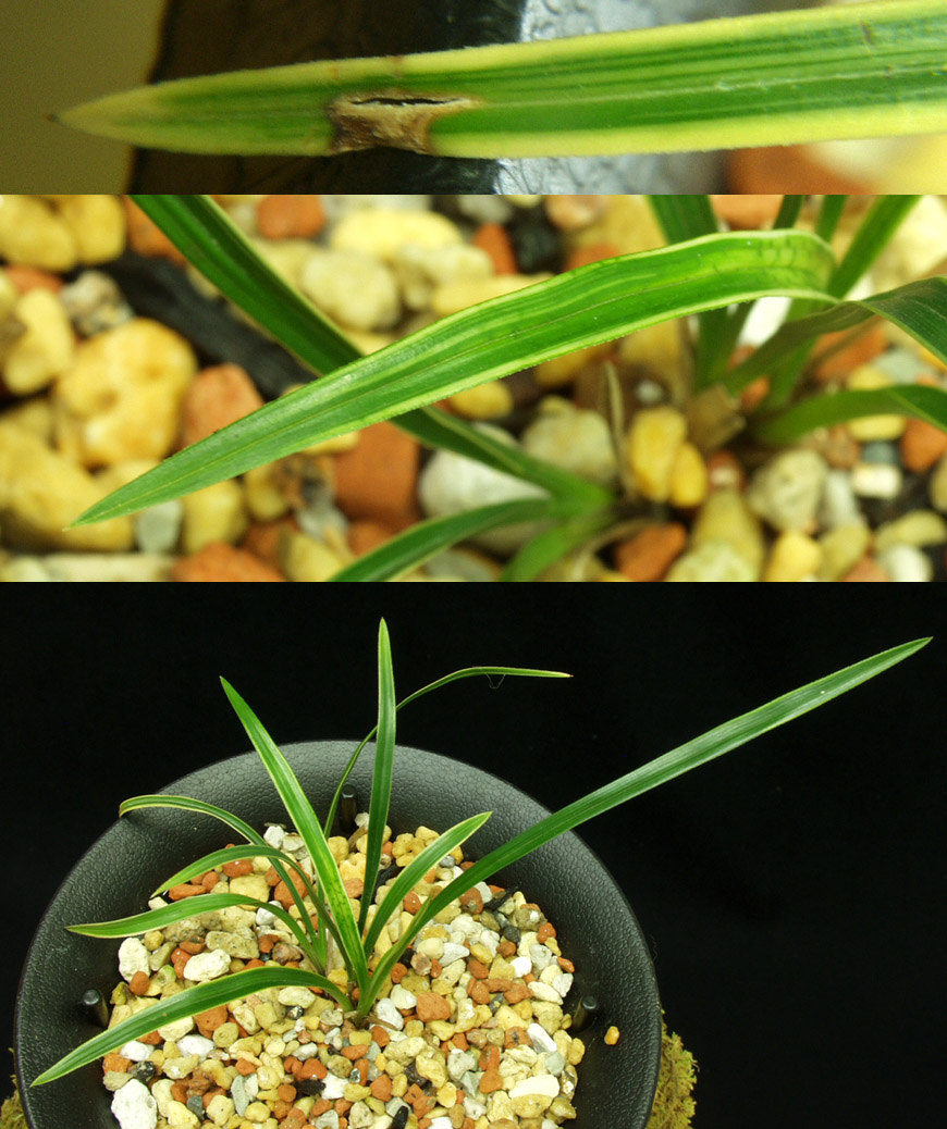 ������ ū������ �� �� �ֽ��ϴ�.