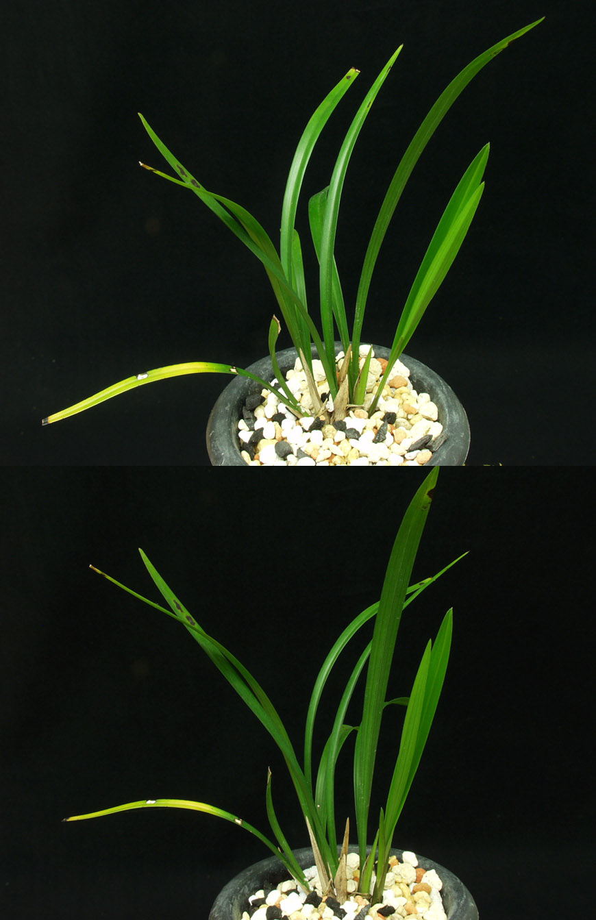 ������ ū������ �� �� �ֽ��ϴ�.