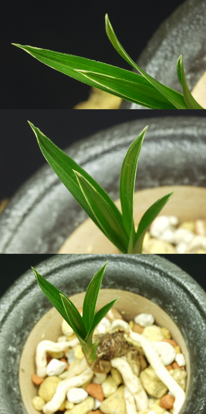 ������ ū������ �� �� �ֽ��ϴ�.