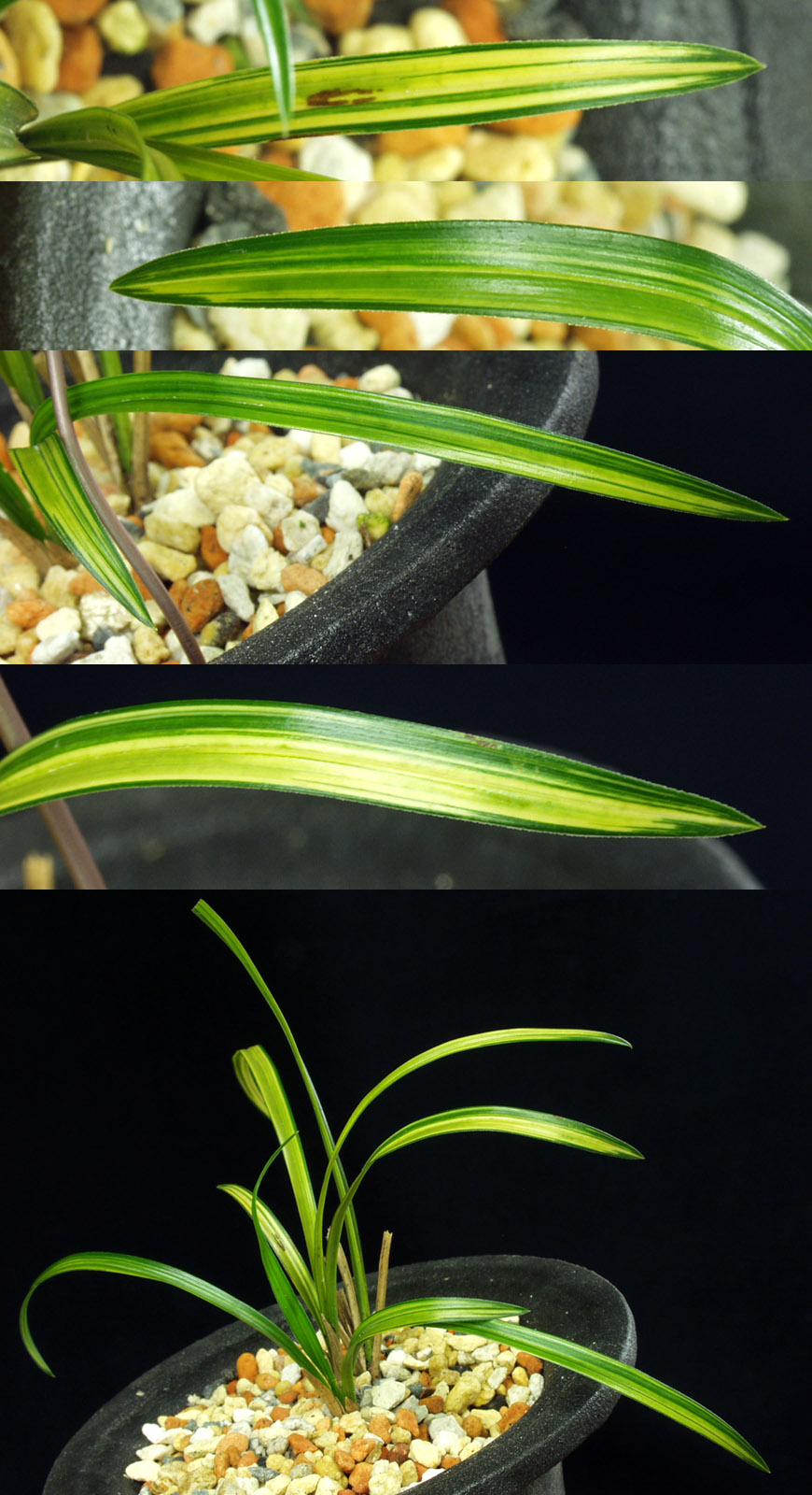 ������ ū������ �� �� �ֽ��ϴ�.