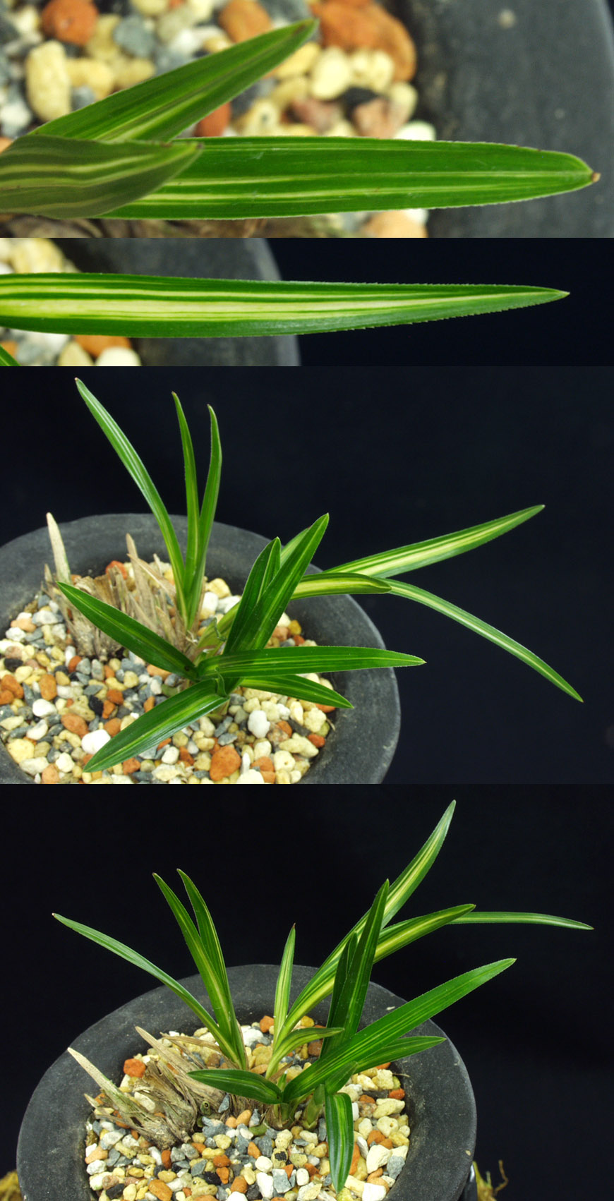 ������ ū������ �� �� �ֽ��ϴ�.