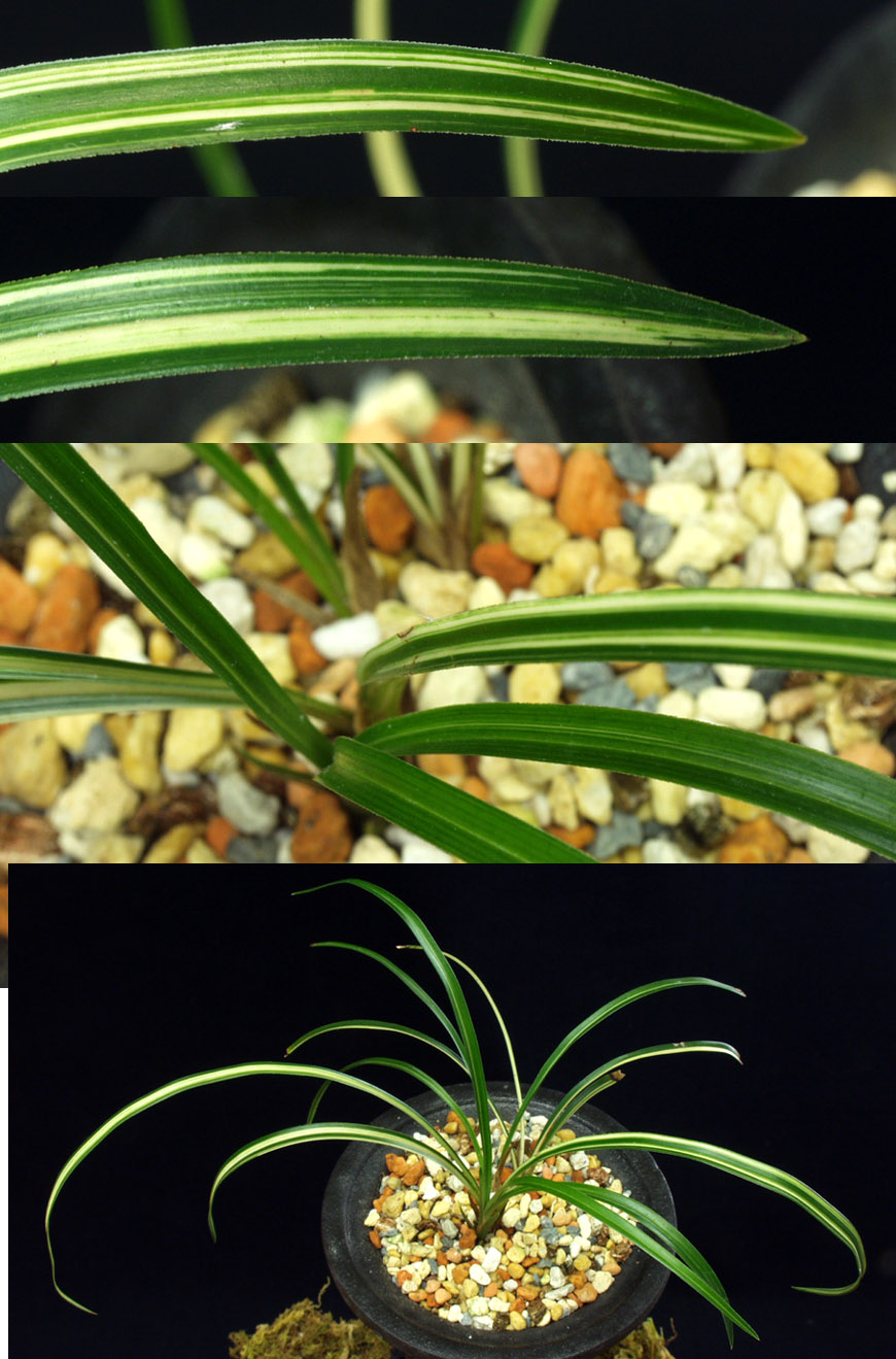 ������ ū������ �� �� �ֽ��ϴ�.