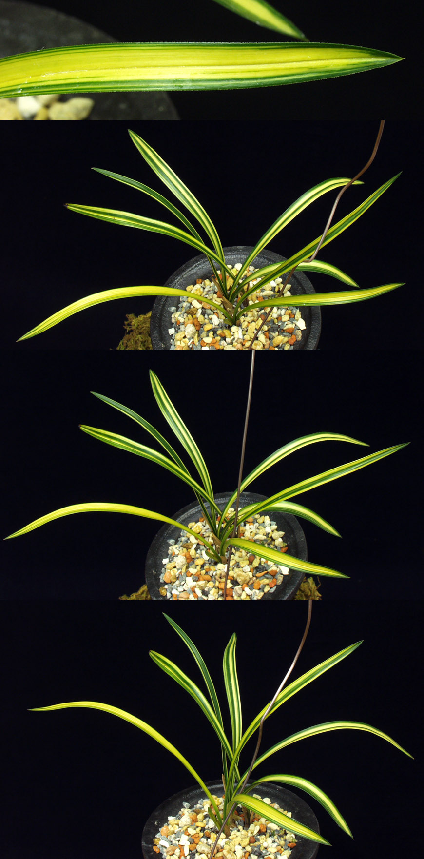 ������ ū������ �� �� �ֽ��ϴ�.