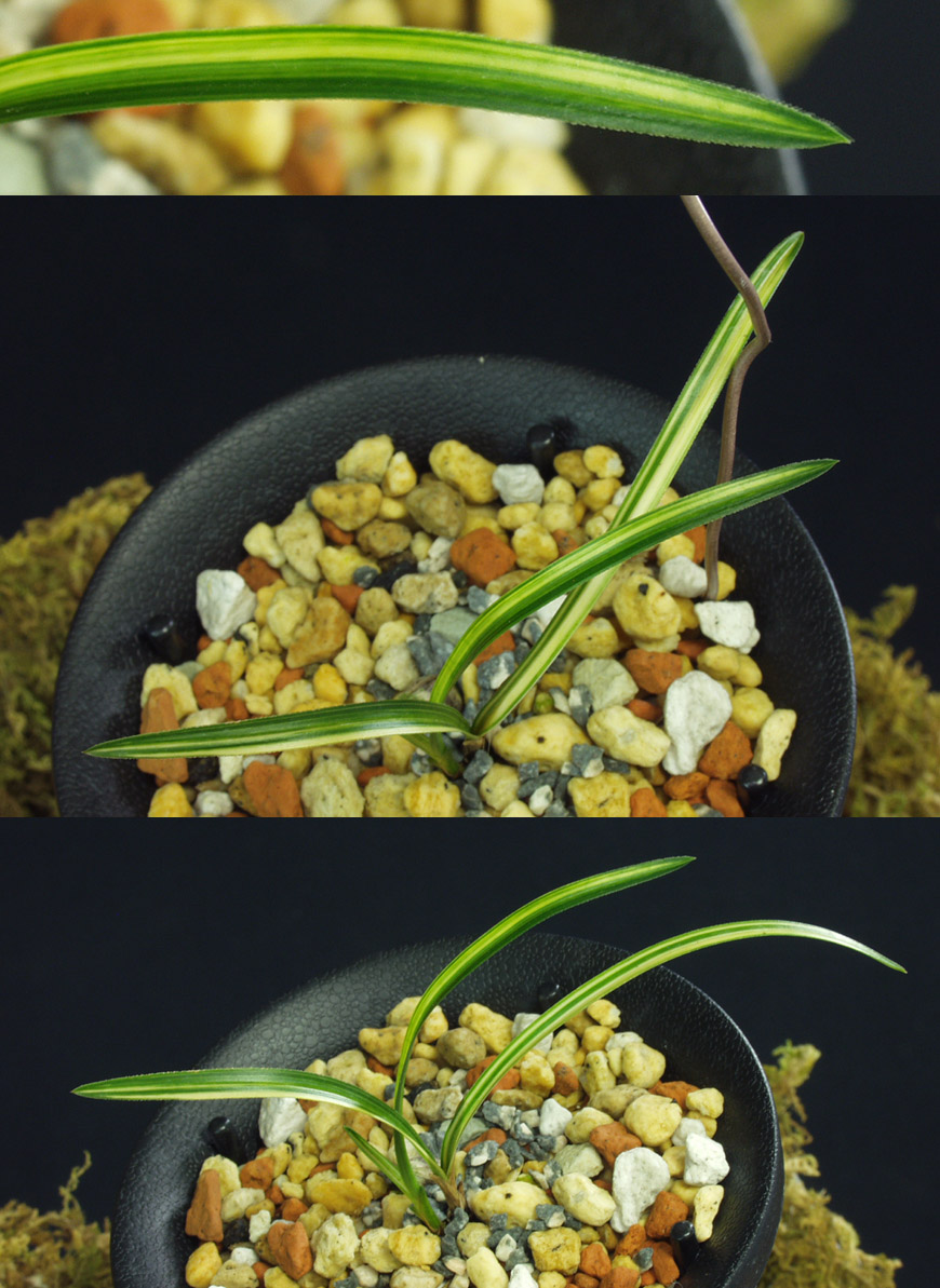 ������ ū������ �� �� �ֽ��ϴ�.