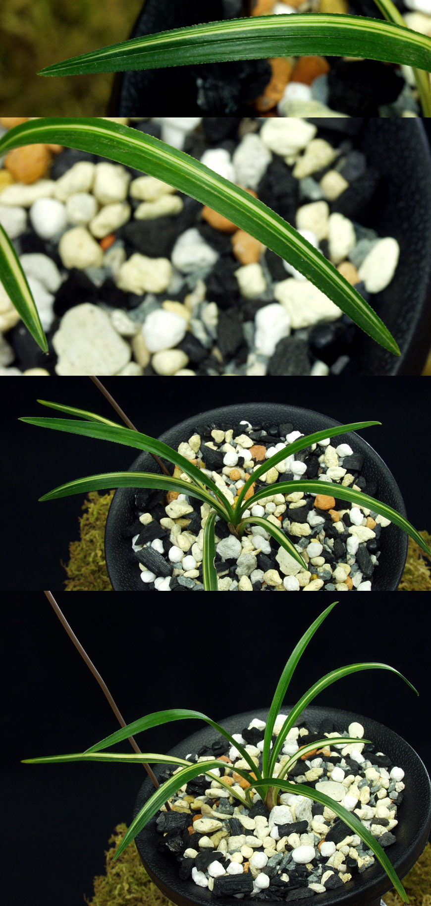 ������ ū������ �� �� �ֽ��ϴ�.