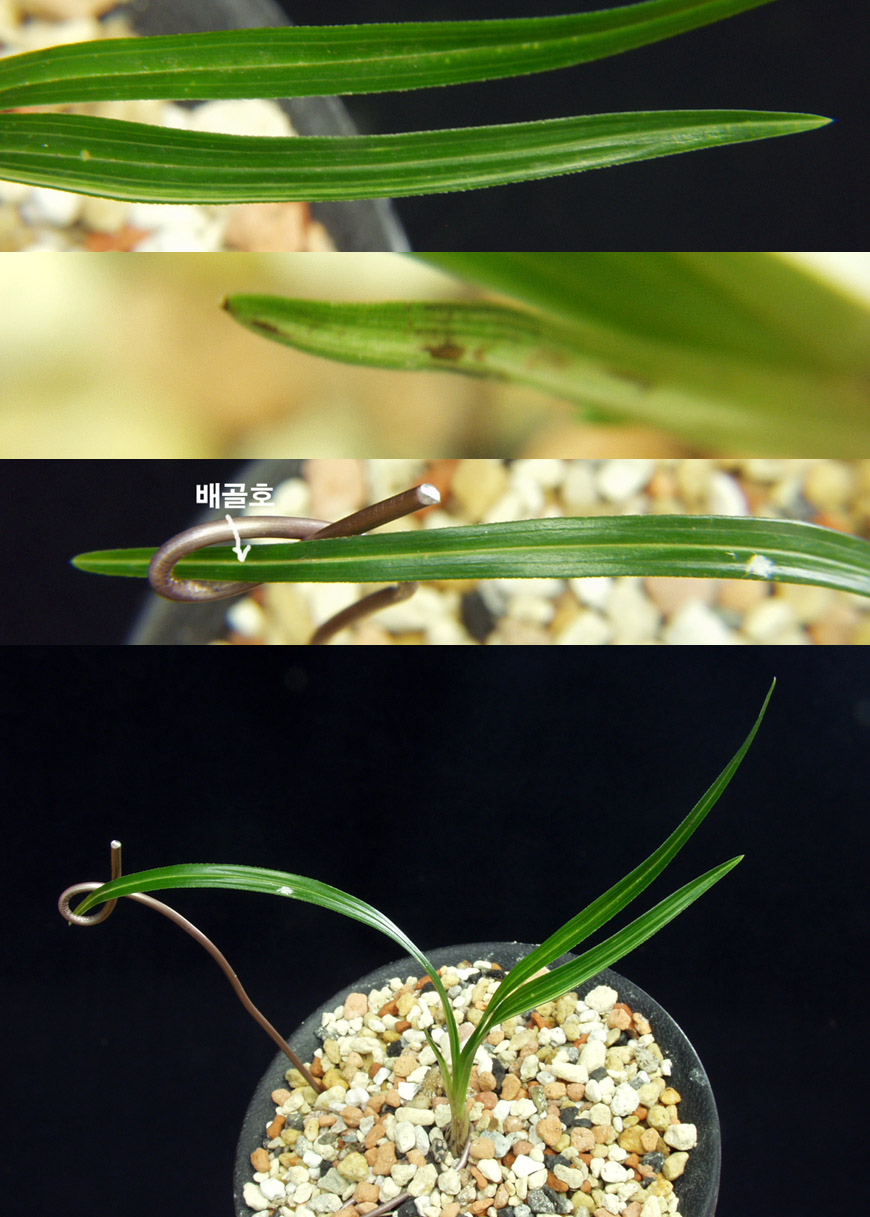 ������ ū������ �� �� �ֽ��ϴ�.