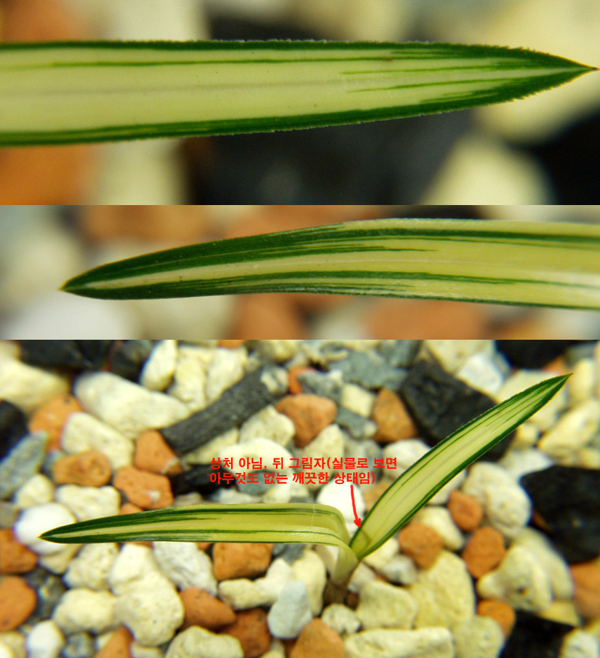 ������ ū������ �� �� �ֽ��ϴ�.