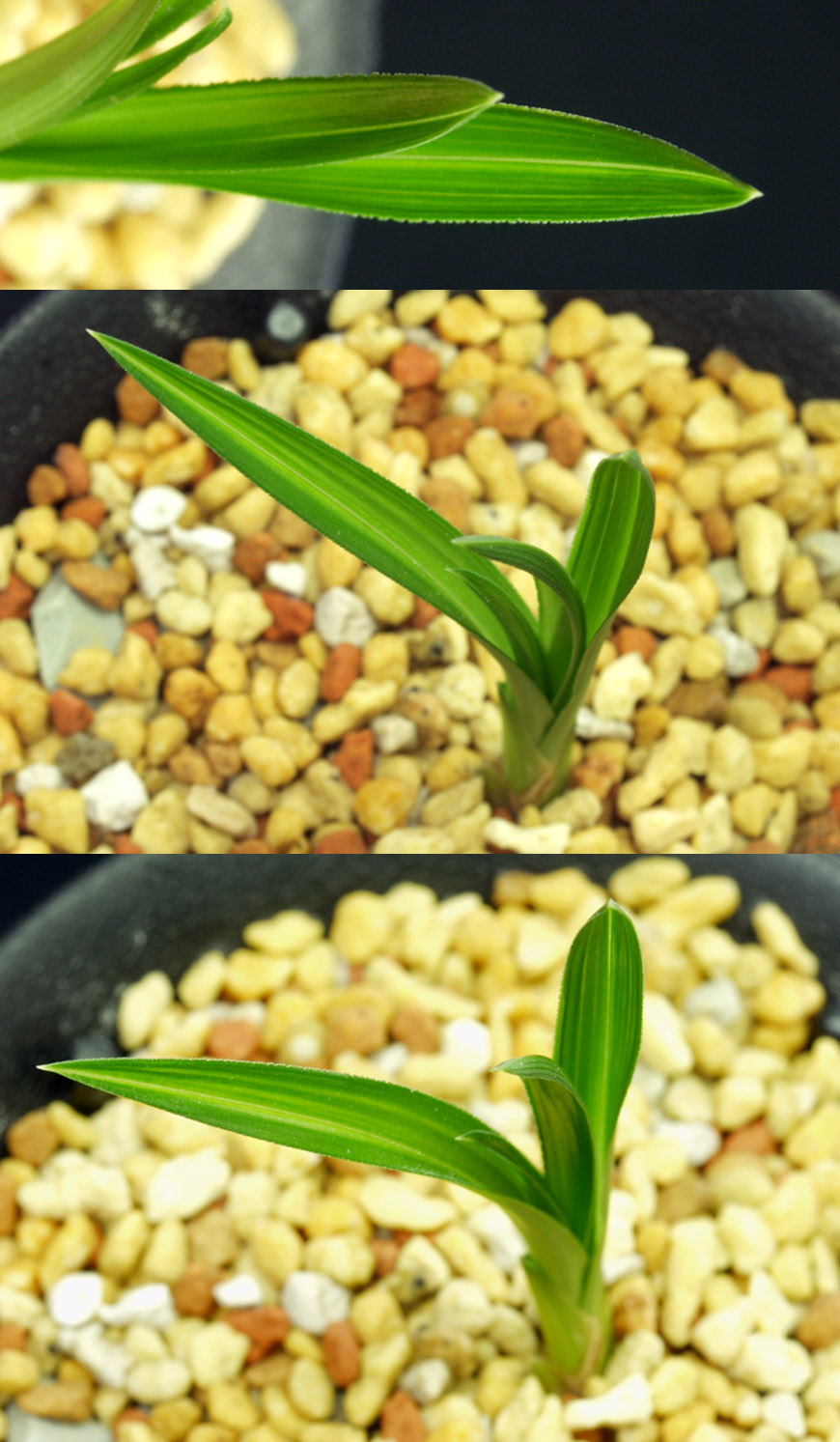 ������ ū������ �� �� �ֽ��ϴ�.