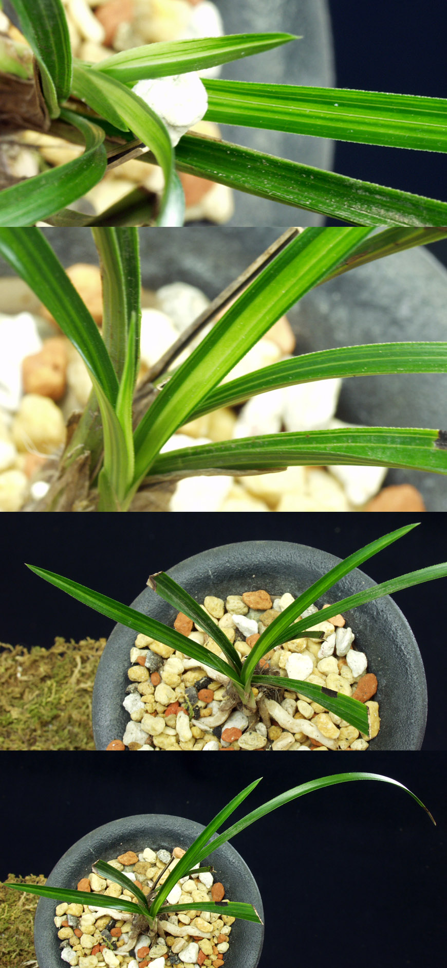 ������ ū������ �� �� �ֽ��ϴ�.