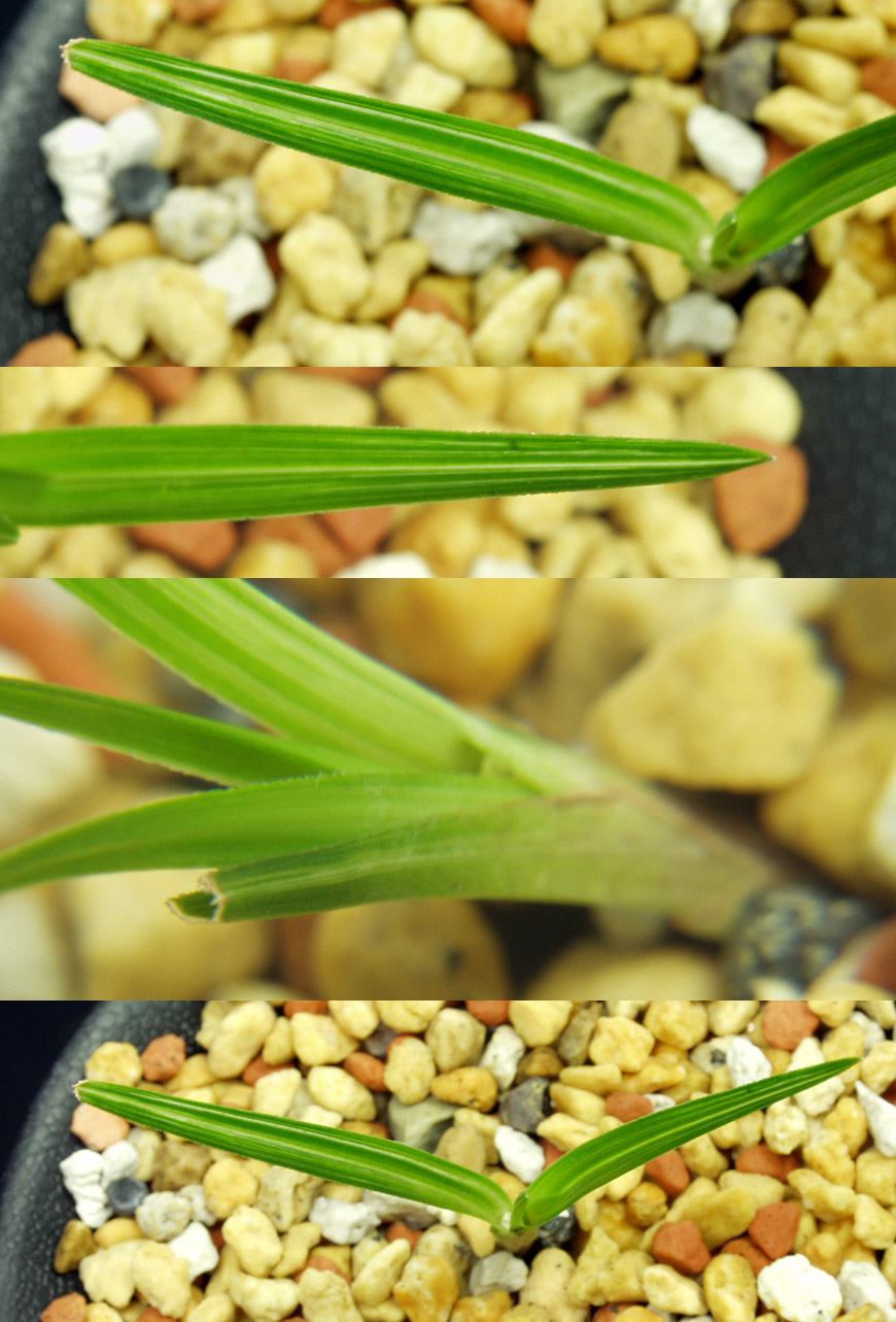 ������ ū������ �� �� �ֽ��ϴ�.