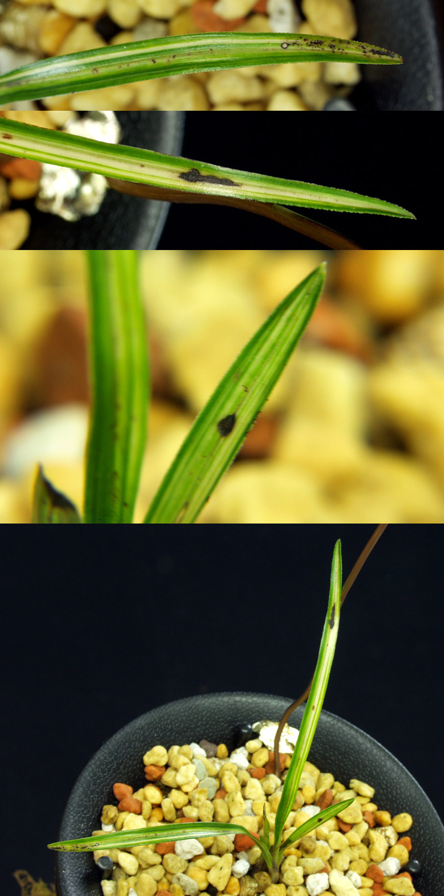 ������ ū������ �� �� �ֽ��ϴ�.