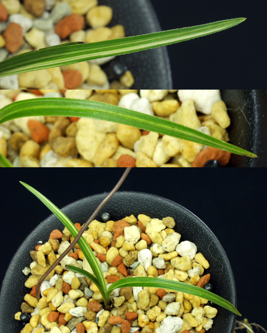 ������ ū������ �� �� �ֽ��ϴ�.