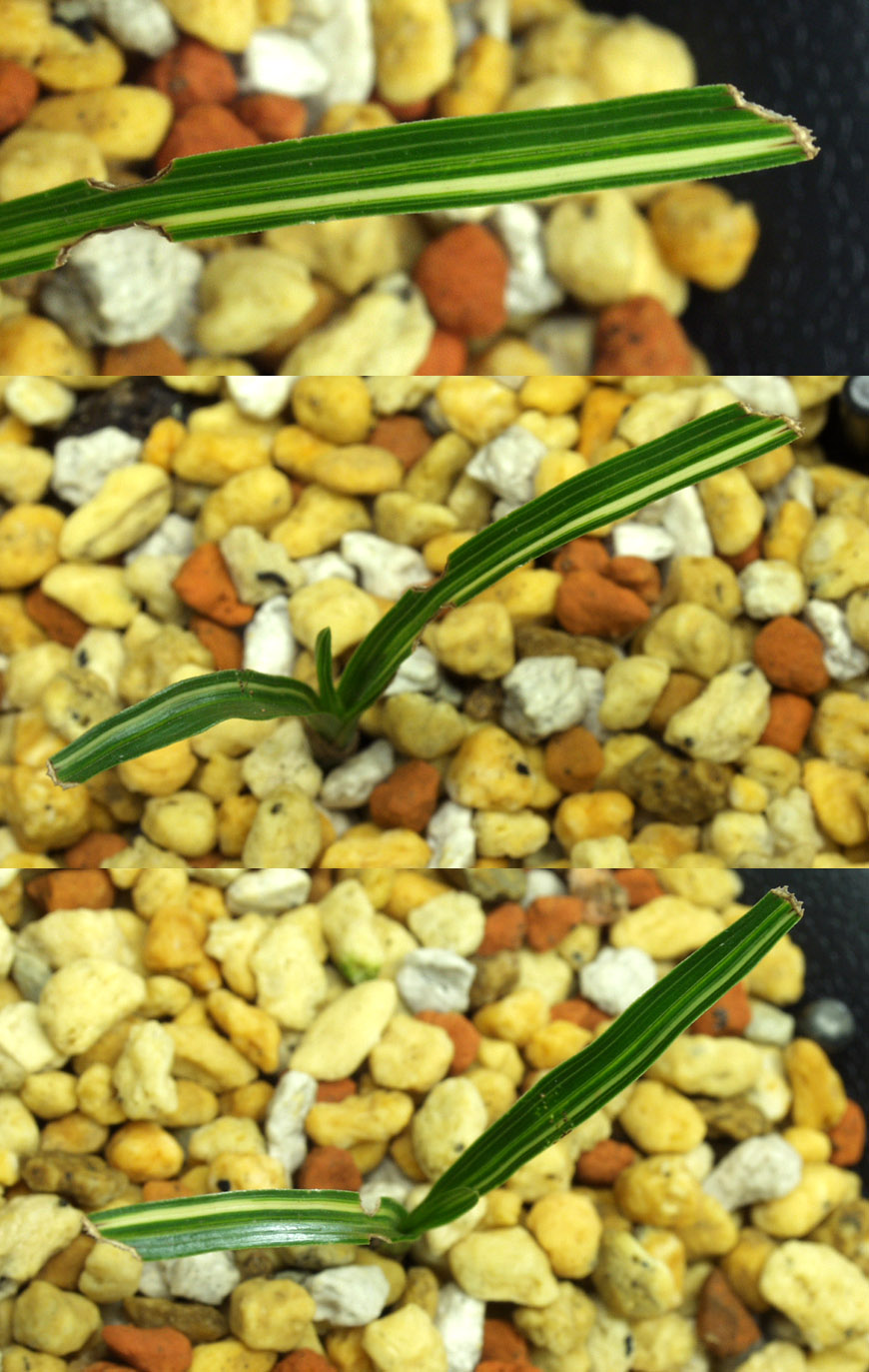 ������ ū������ �� �� �ֽ��ϴ�.