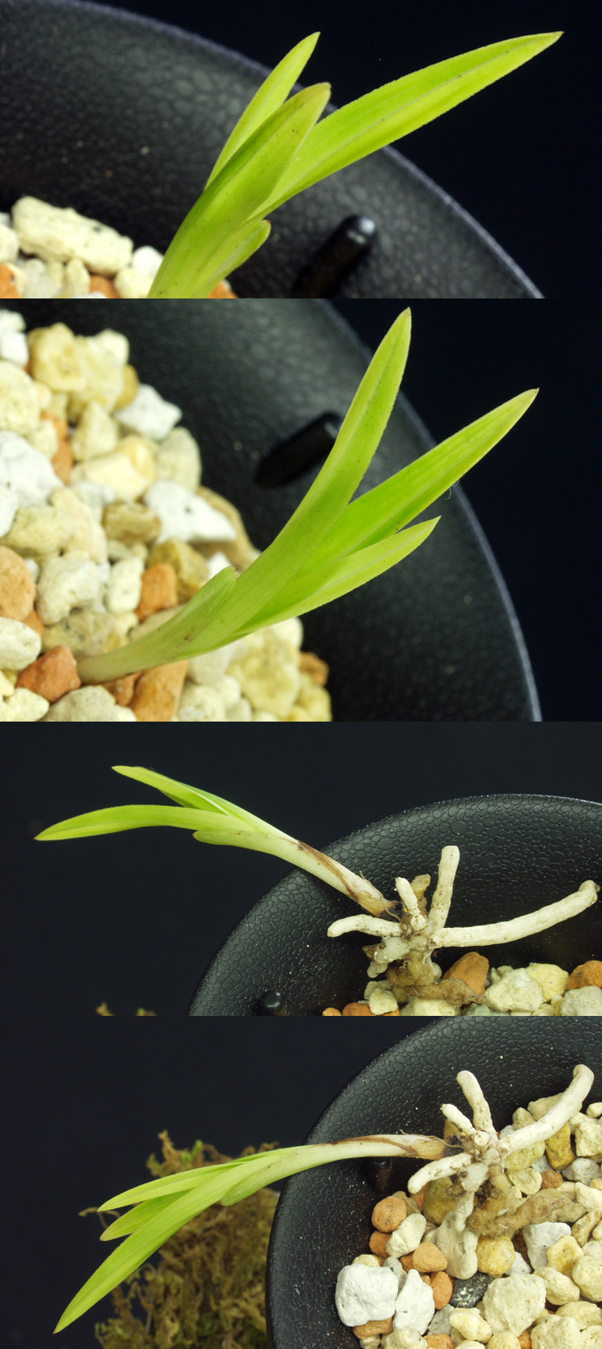 ������ ū������ �� �� �ֽ��ϴ�.