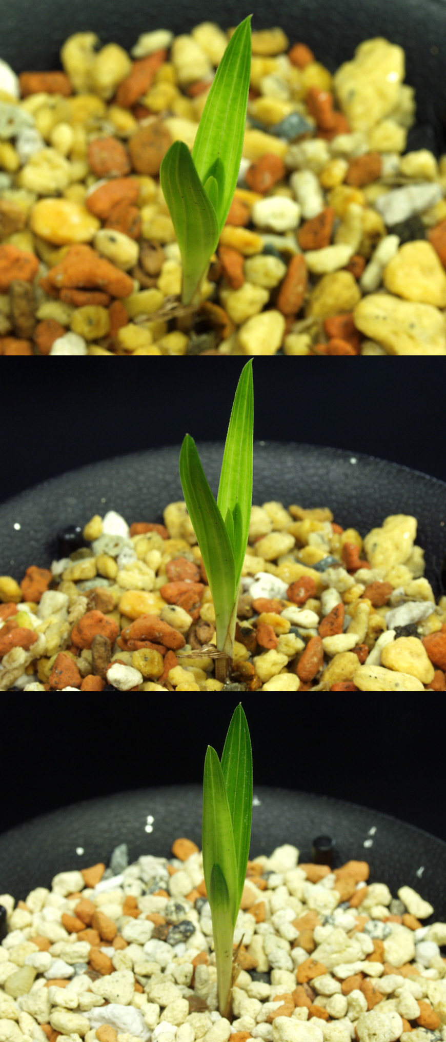 ������ ū������ �� �� �ֽ��ϴ�.