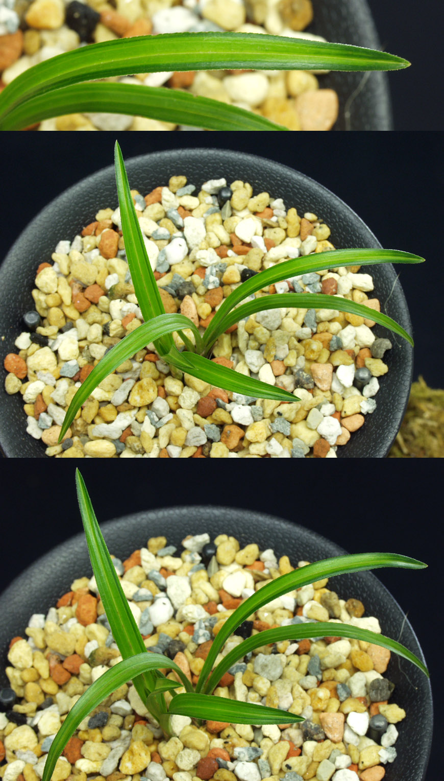 ������ ū������ �� �� �ֽ��ϴ�.