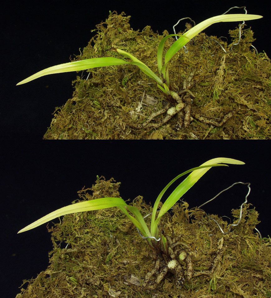 ������ ū������ �� �� �ֽ��ϴ�.