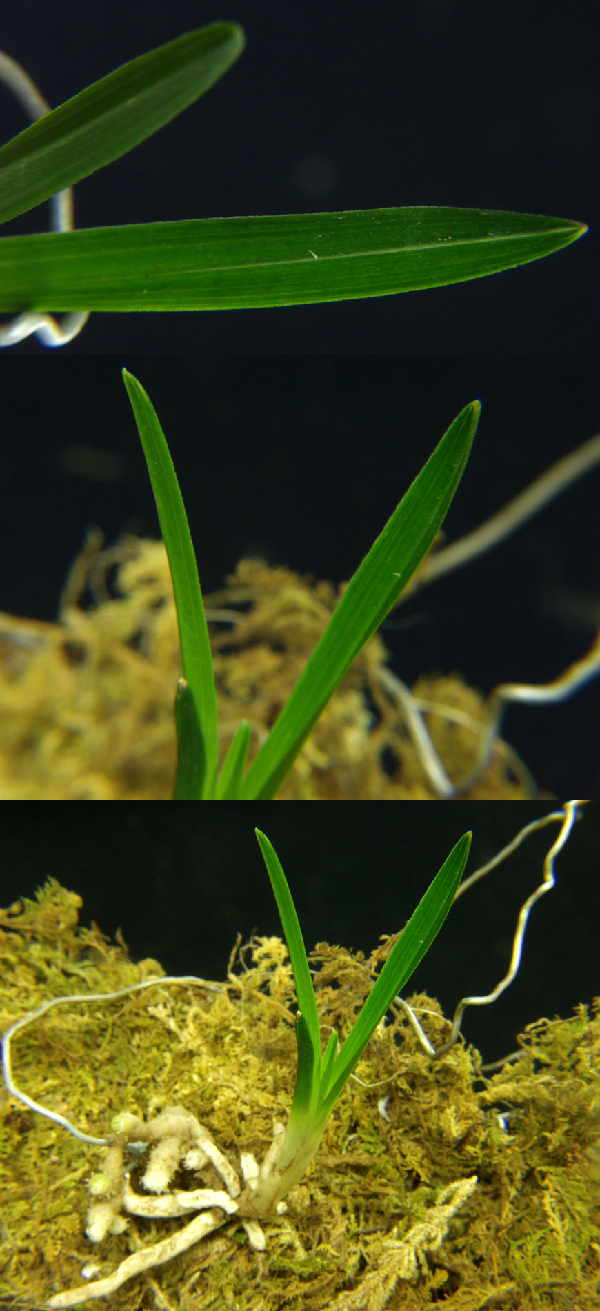 ������ ū������ �� �� �ֽ��ϴ�.