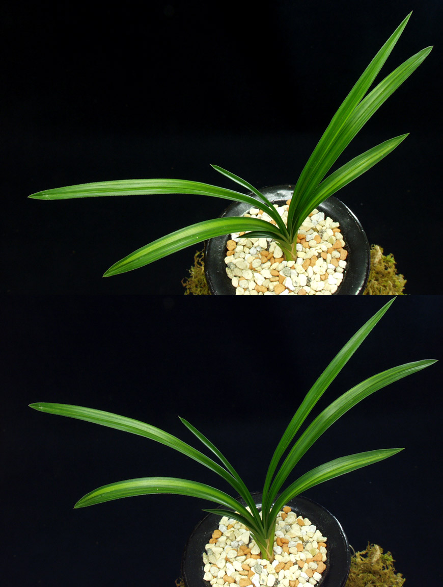 ������ ū������ �� �� �ֽ��ϴ�.