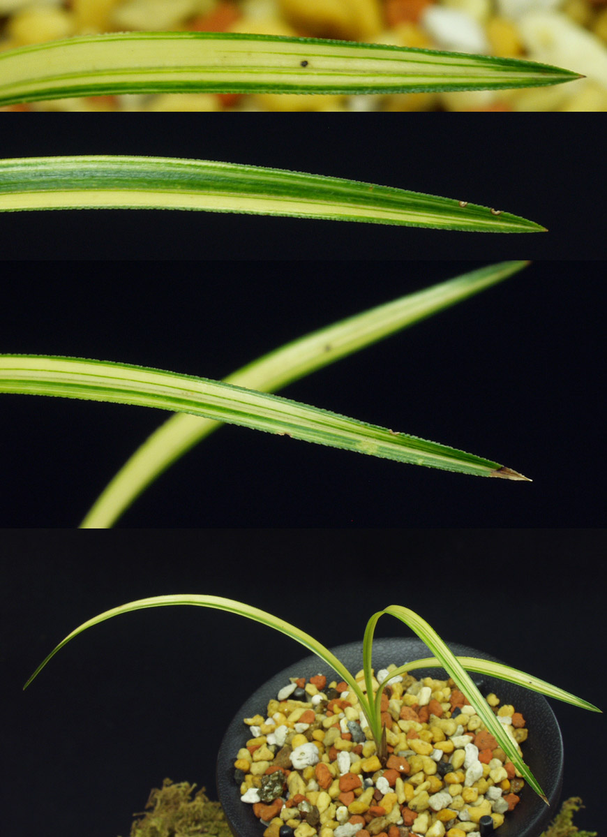 ������ ū������ �� �� �ֽ��ϴ�.