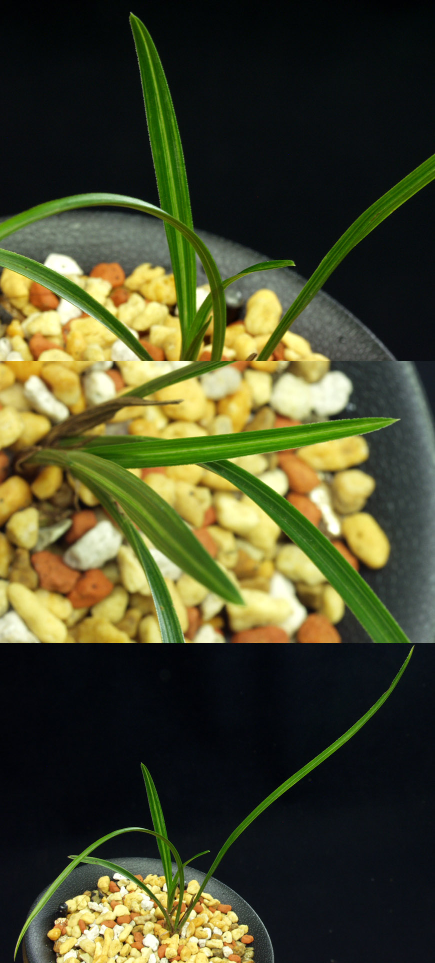 ������ ū������ �� �� �ֽ��ϴ�.