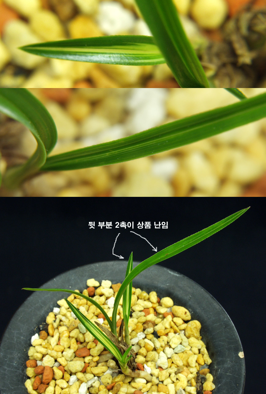 ������ ū������ �� �� �ֽ��ϴ�.