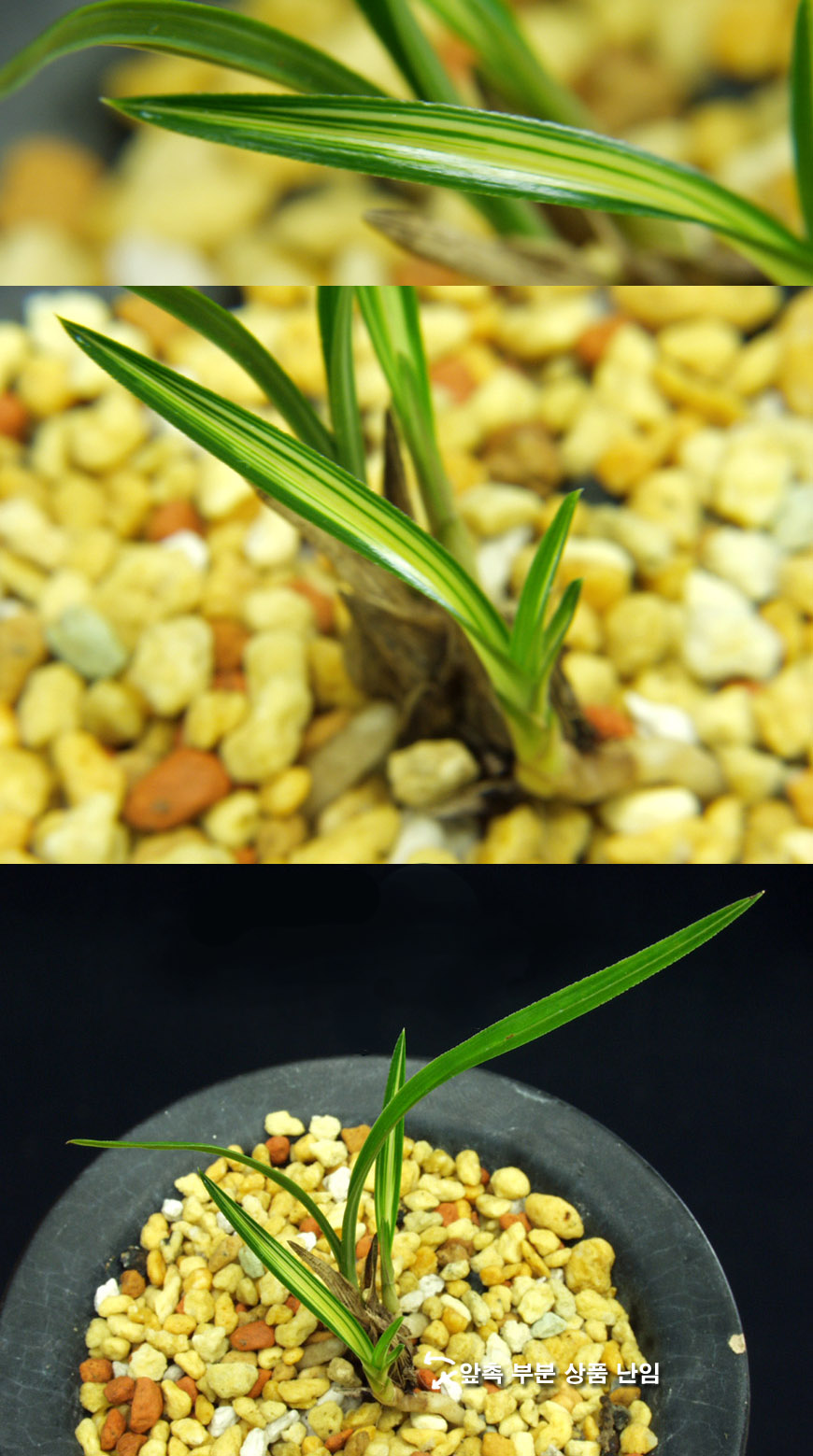 ������ ū������ �� �� �ֽ��ϴ�.