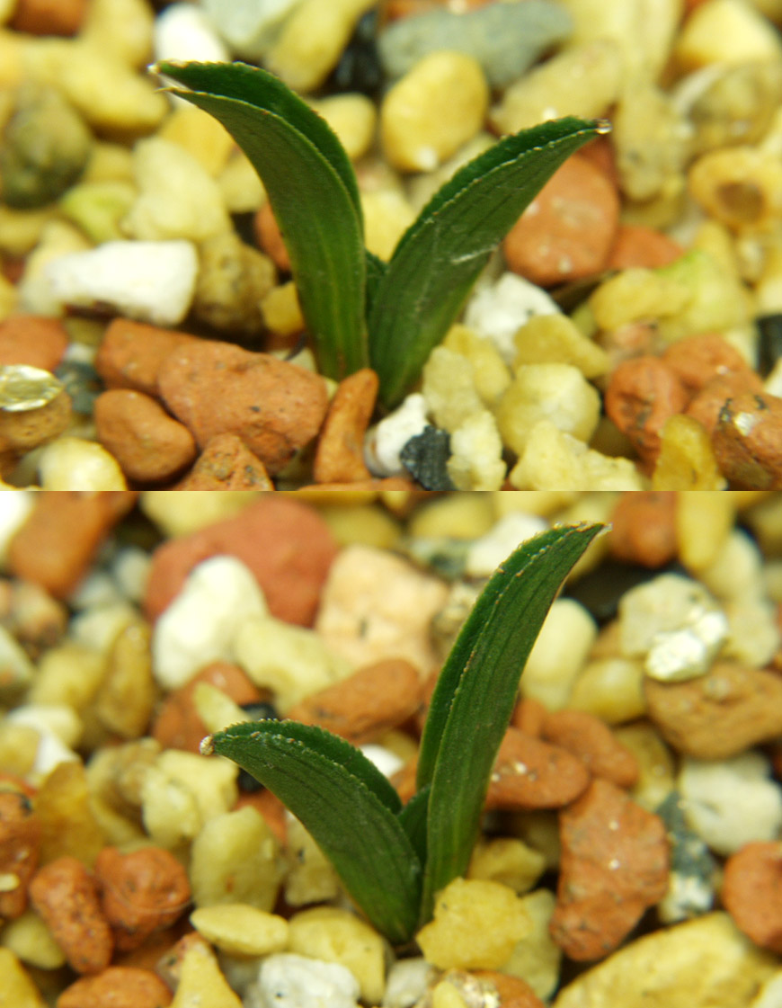 ������ ū������ �� �� �ֽ��ϴ�.