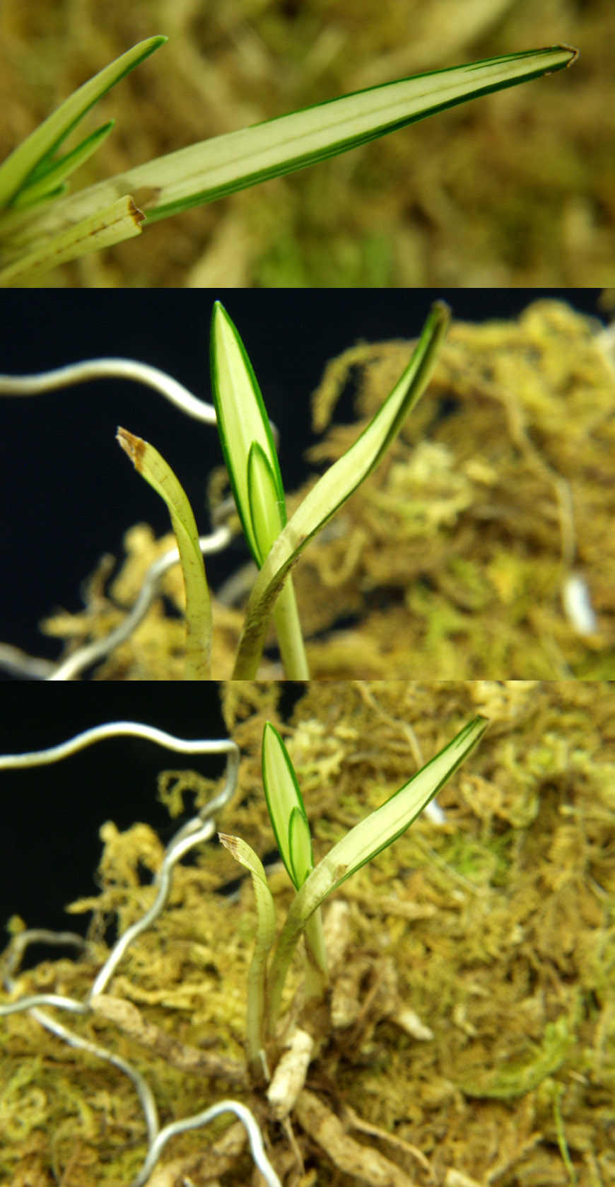 ������ ū������ �� �� �ֽ��ϴ�.