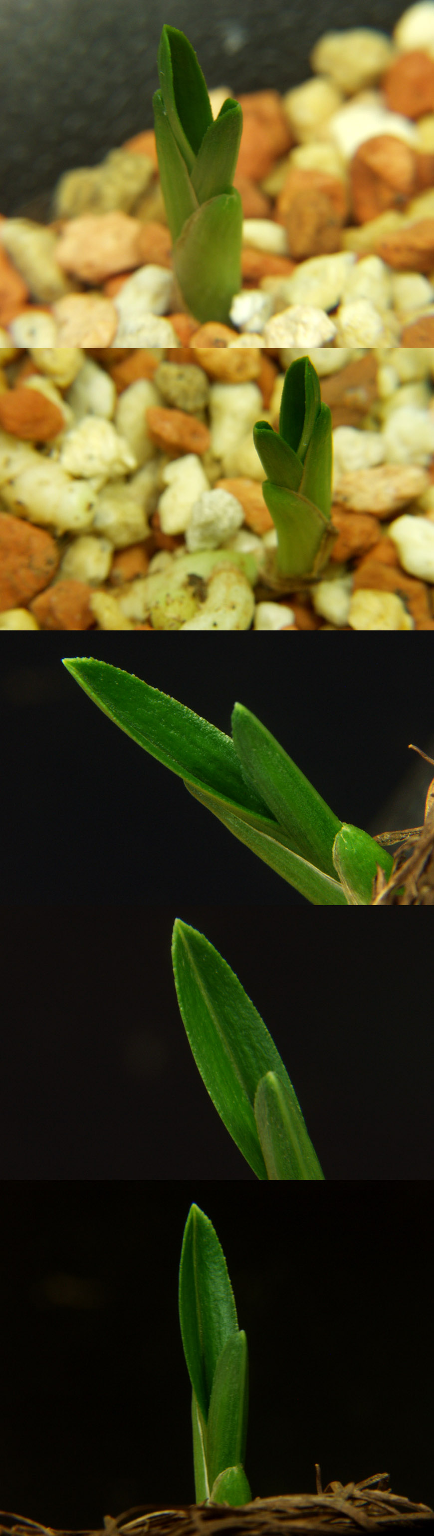 ������ ū������ �� �� �ֽ��ϴ�.