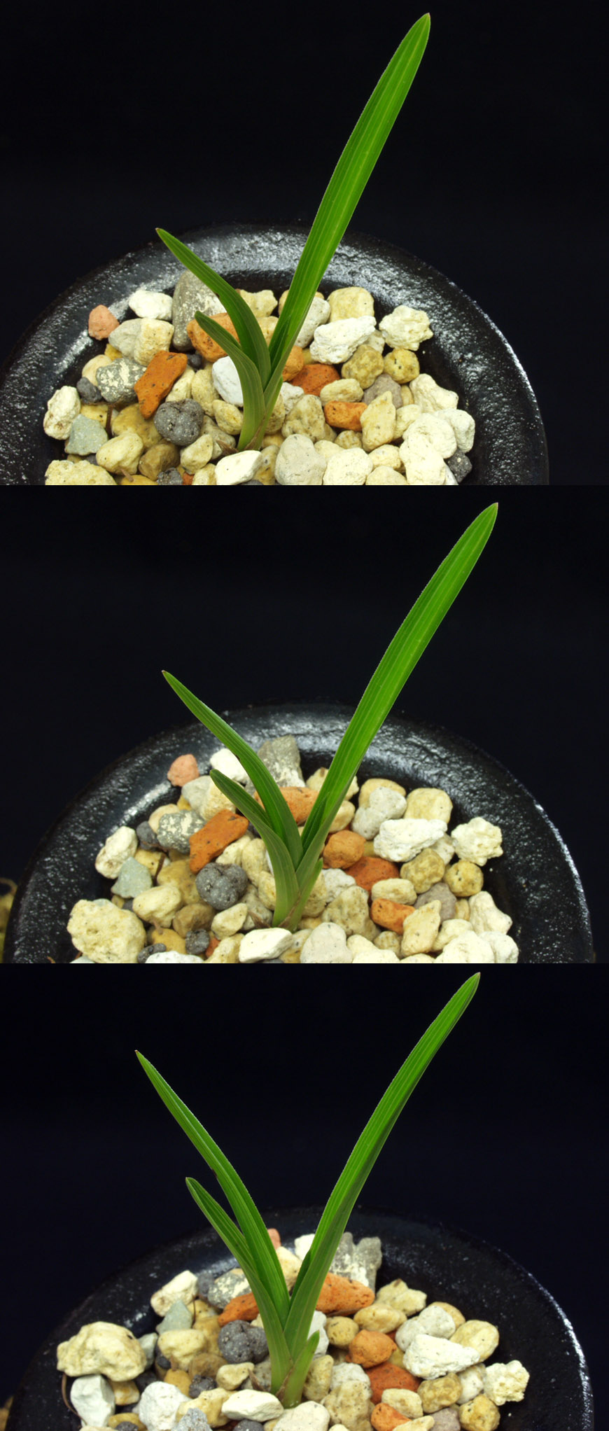 ������ ū������ �� �� �ֽ��ϴ�.