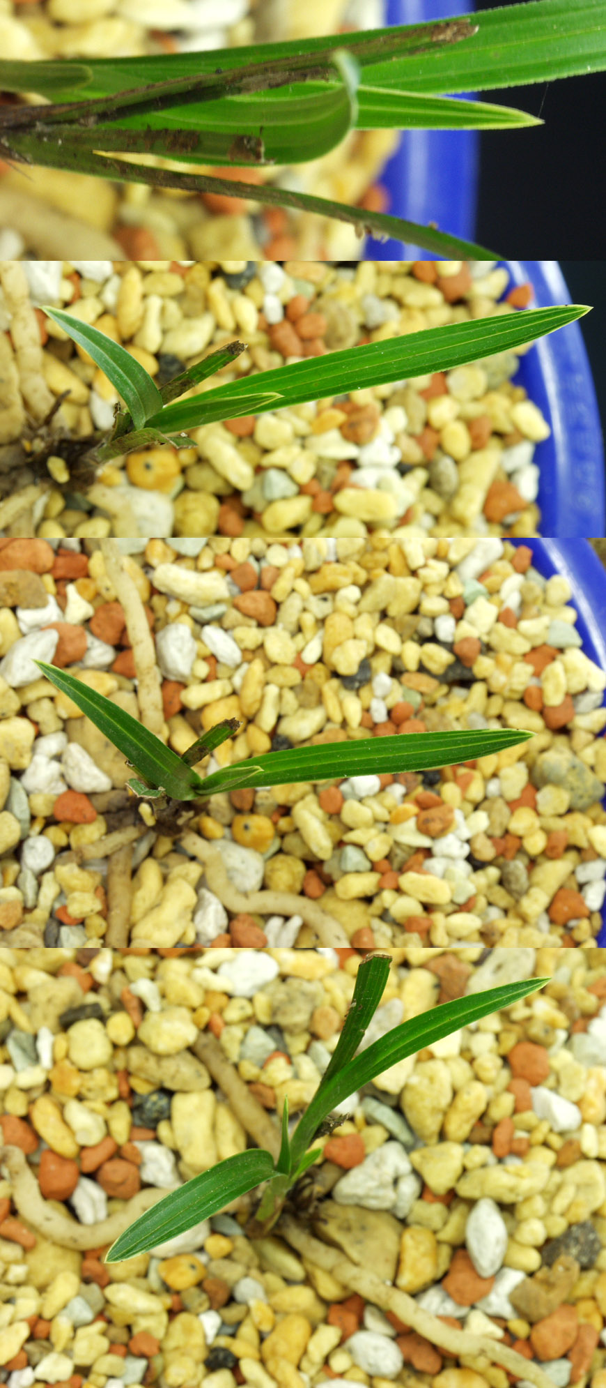 ������ ū������ �� �� �ֽ��ϴ�.