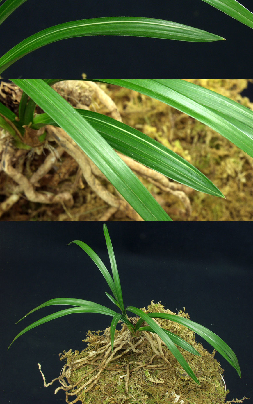 ������ ū������ �� �� �ֽ��ϴ�.