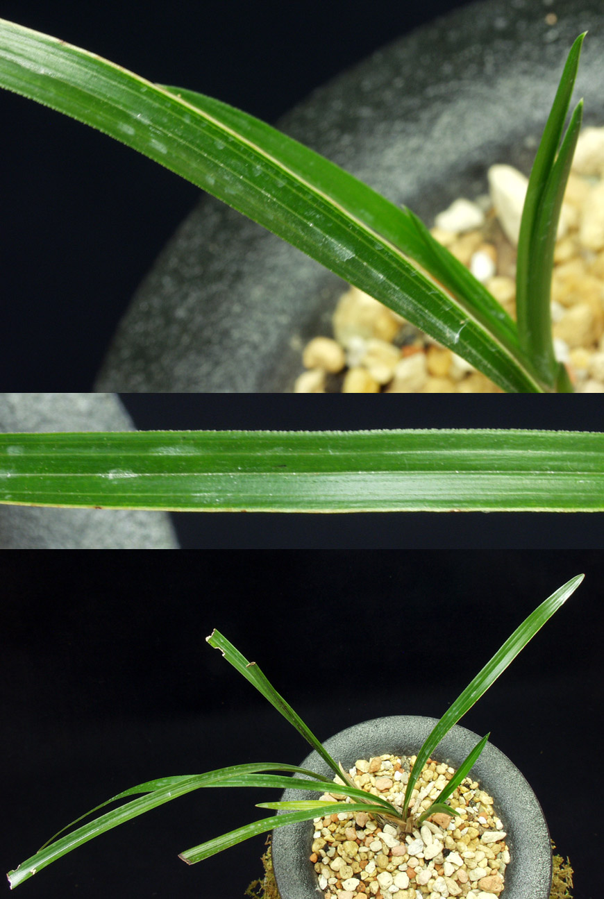 ������ ū������ �� �� �ֽ��ϴ�.