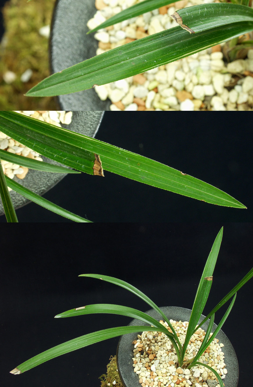 ������ ū������ �� �� �ֽ��ϴ�.