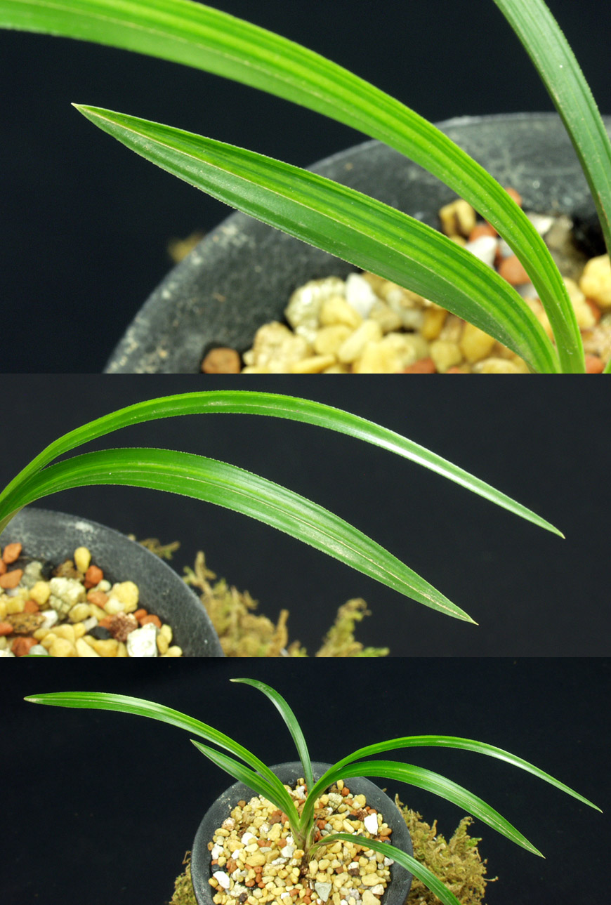 ������ ū������ �� �� �ֽ��ϴ�.