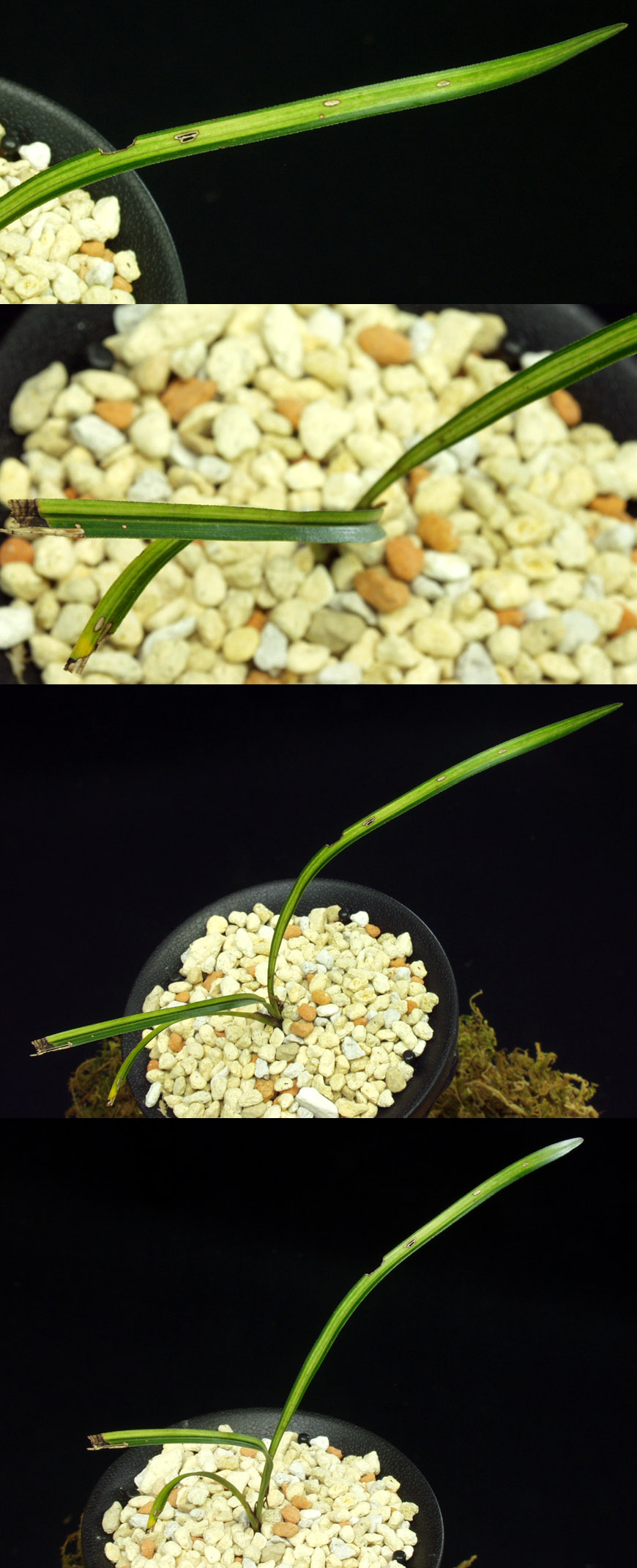 ������ ū������ �� �� �ֽ��ϴ�.