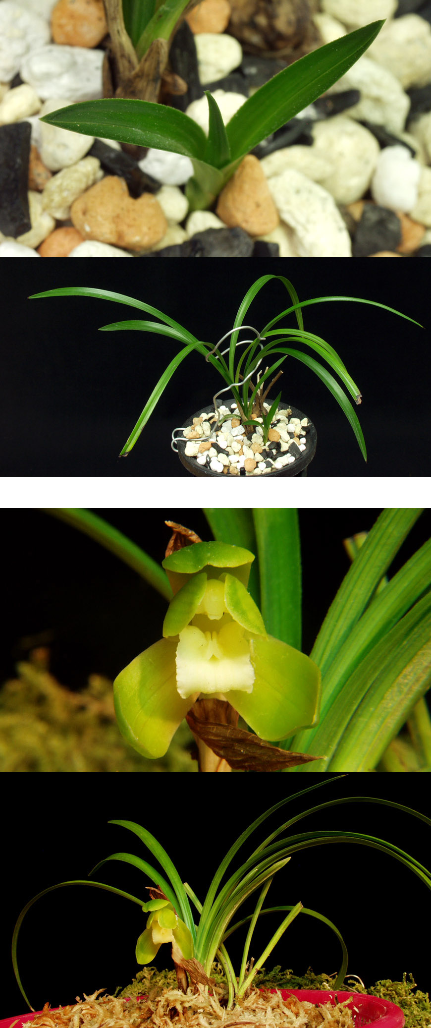 ������ ū������ �� �� �ֽ��ϴ�.