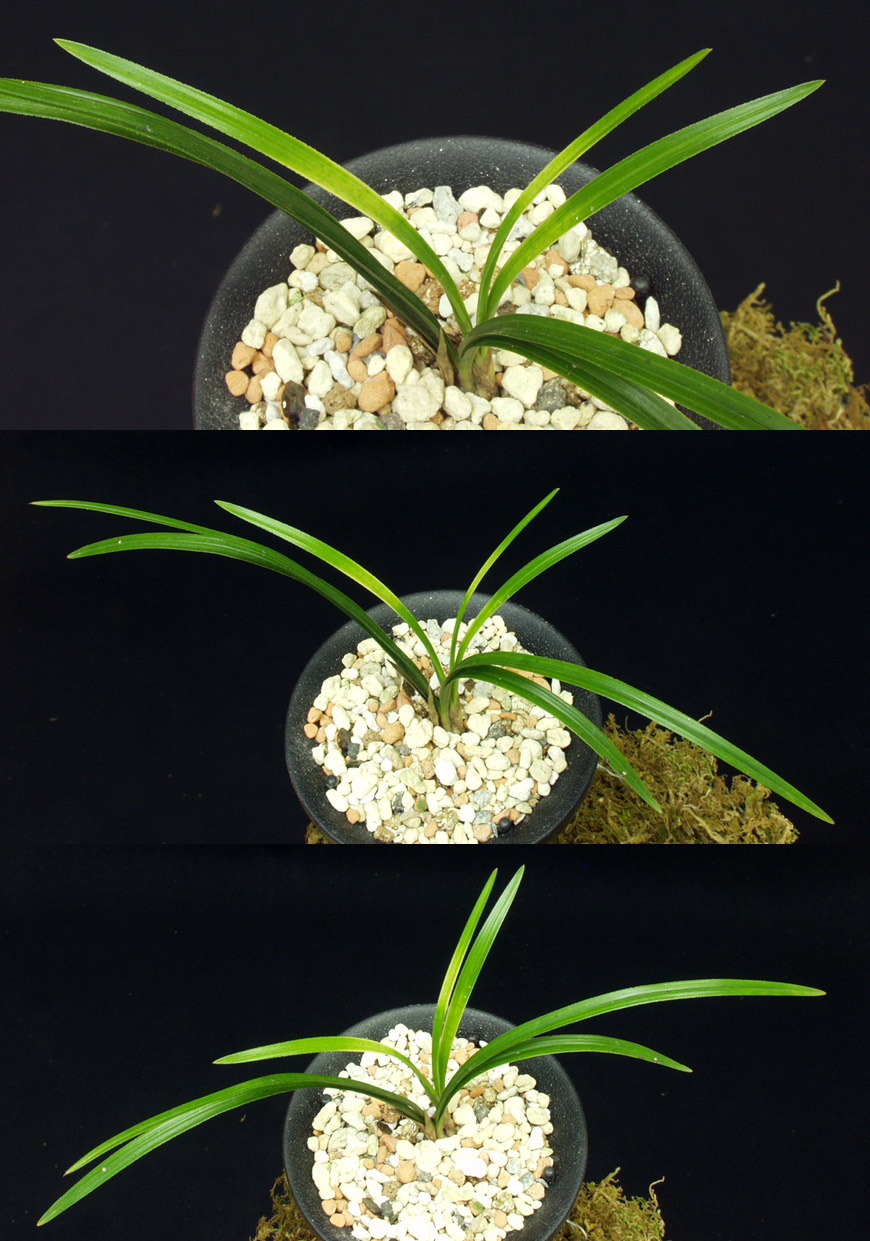 ������ ū������ �� �� �ֽ��ϴ�.