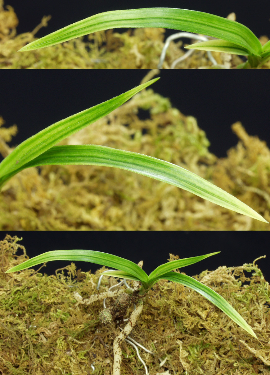 ������ ū������ �� �� �ֽ��ϴ�.