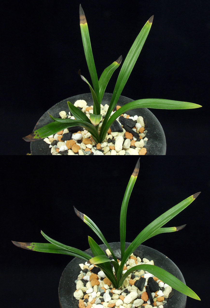 ������ ū������ �� �� �ֽ��ϴ�.